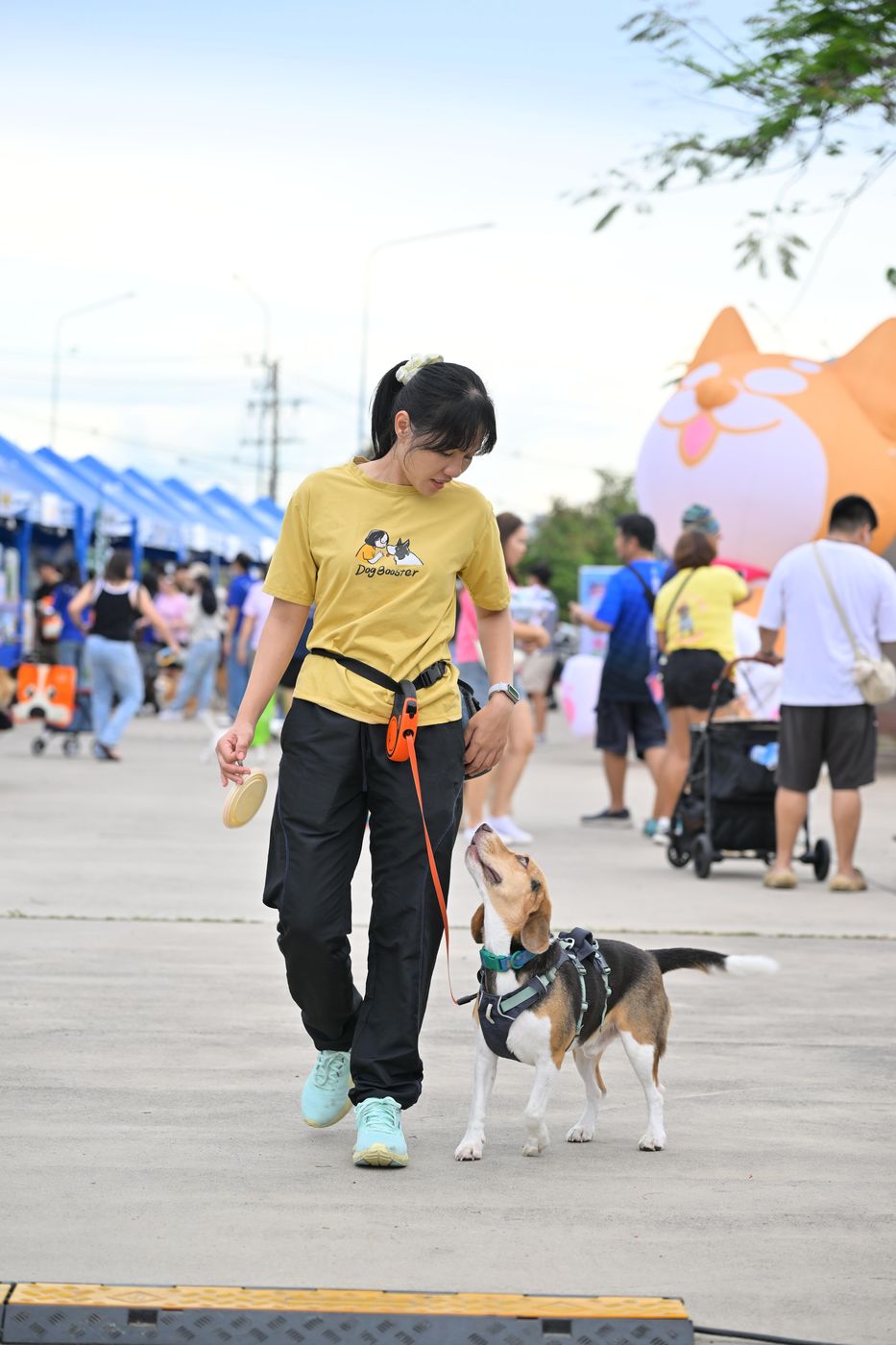 ครูแคทนิชและต้มมัด