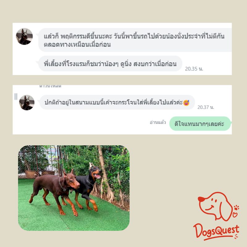 รีวิวจากผู้ปกครองน้องหมา 1