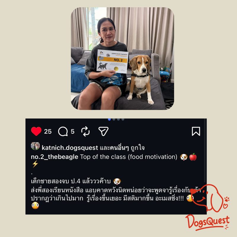 รีวิวจากผู้ปกครองน้องหมา 5