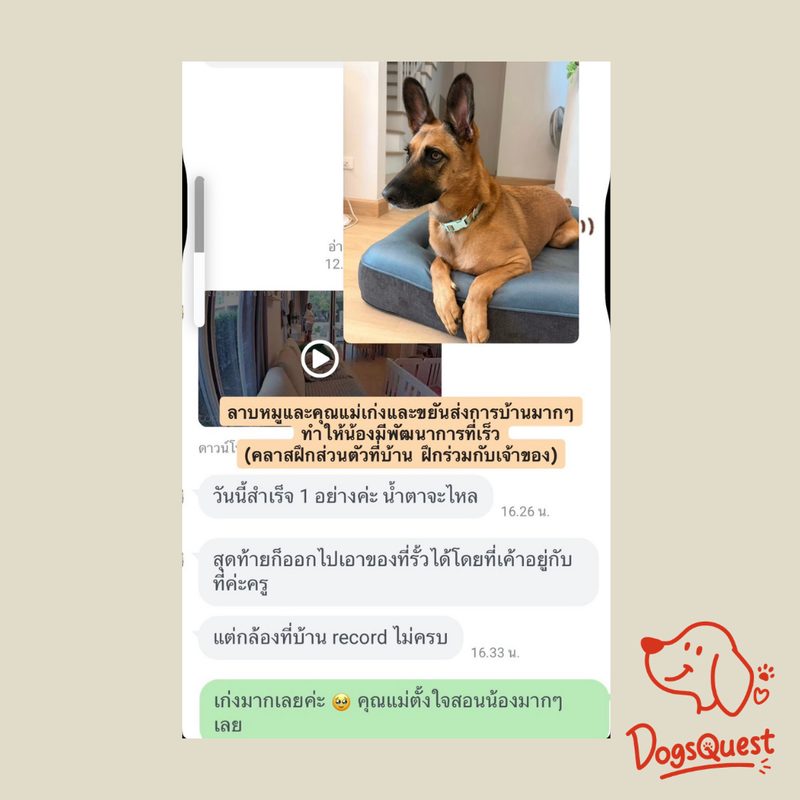 รีวิวจากผู้ปกครองน้องหมา 6